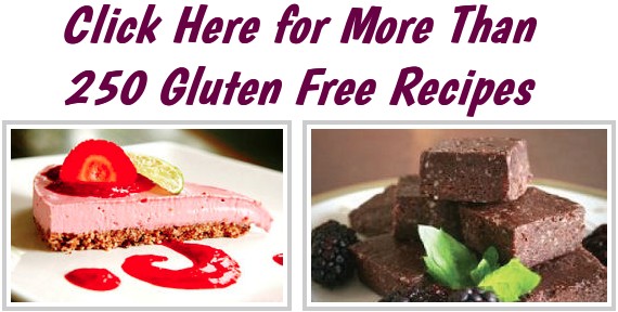 Blended Bites - Gluten Free!